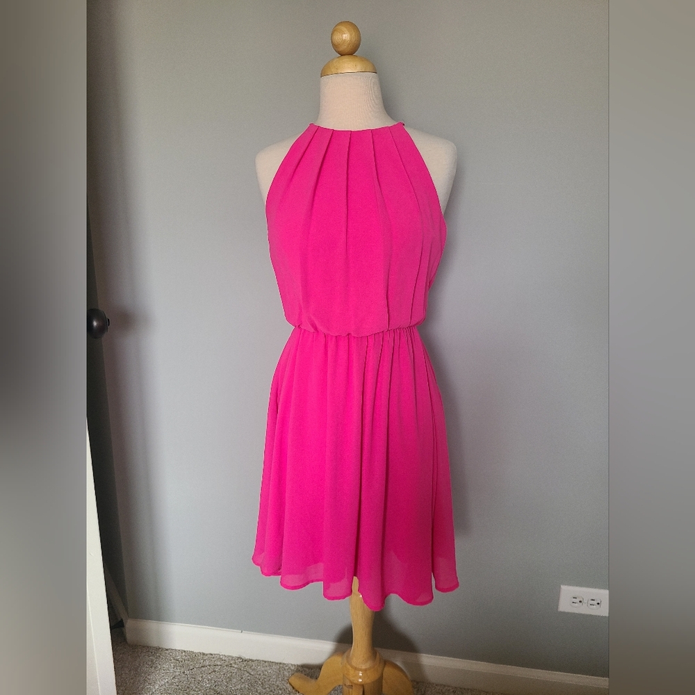 Francesca's Collection Chiffon Dress